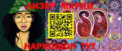 шишки Изобильный