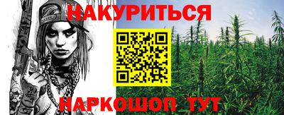 шишки Изобильный