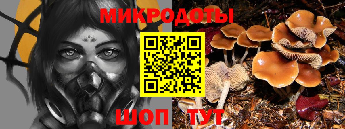 Луховицы  наркошоп  Псилоцибиновые грибы мицелий  Вход с VPN  Галлюциногенные грибы прущие грибы 